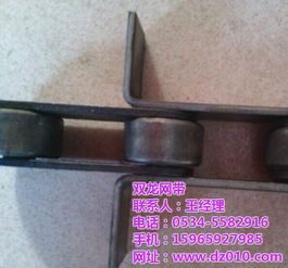 尼龍滾子鏈條與雙龍穿桿網帶的定制 絲網輸送帶的專業解決方案